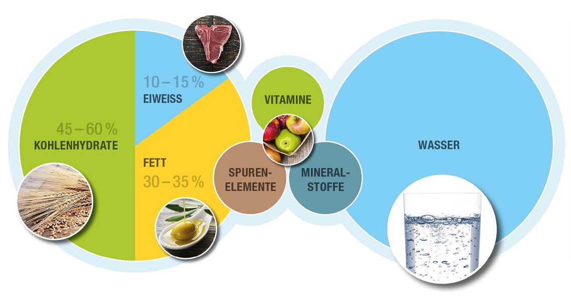 Zusammensetzung der Nahrung Ascensia Diabetes Care